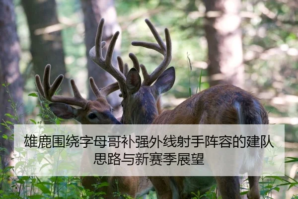 雄鹿围绕字母哥补强外线射手阵容的建队思路与新赛季展望